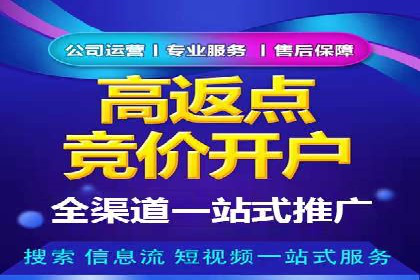 关键词竞价排名策略案例分析